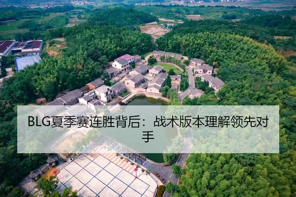 BLG夏季赛连胜背后：战术版本理解领先对手